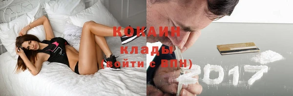 дживик Верея