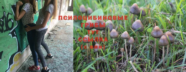 spice Бронницы