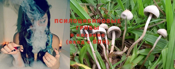марки nbome Бородино