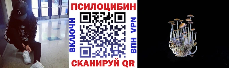 где продают   Рыбинск  Псилоцибиновые грибы мухоморы 